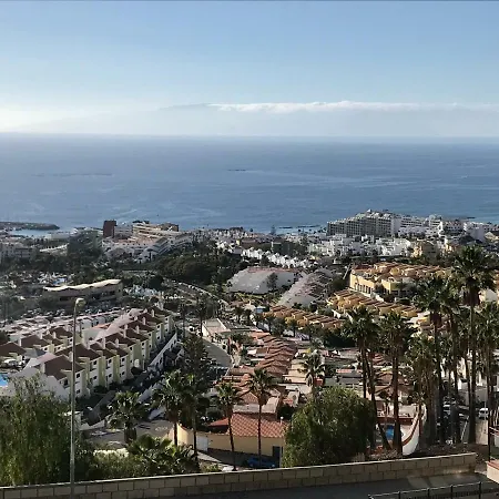 Flora, Costa Adeje Vila Costa Adeje (Tenerife)